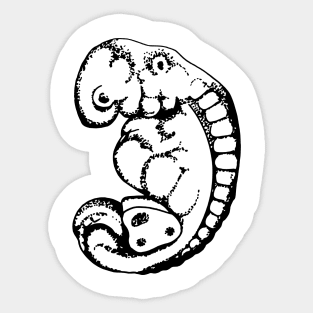 Embryo Sticker